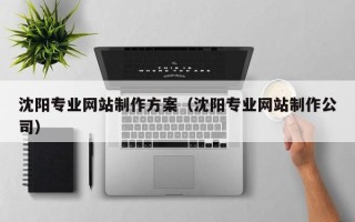 兴化沈阳专业网站制作方案（沈阳专业网站制作公司）